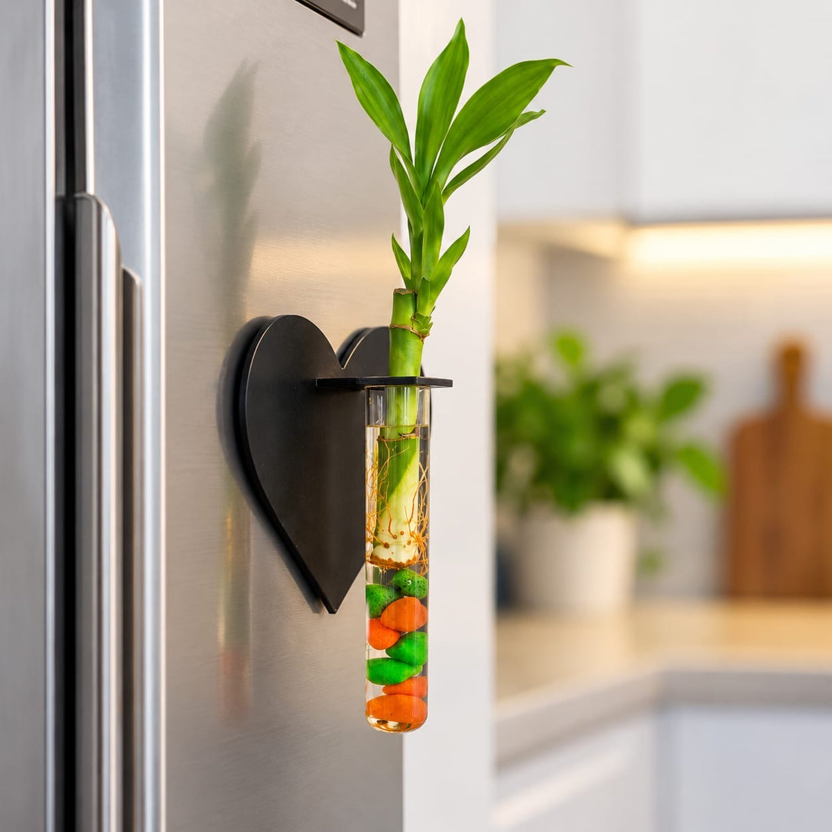 MyPlantMyTaste heart-shaped magnetic lucky bamboo plant in a glass tube with colourful pebbles on a refrigerator