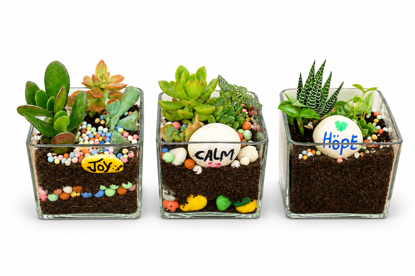 Tiny Plants, Big Positivity – Joy, Calm & Hope Glass Planter Set (Pack of 3)