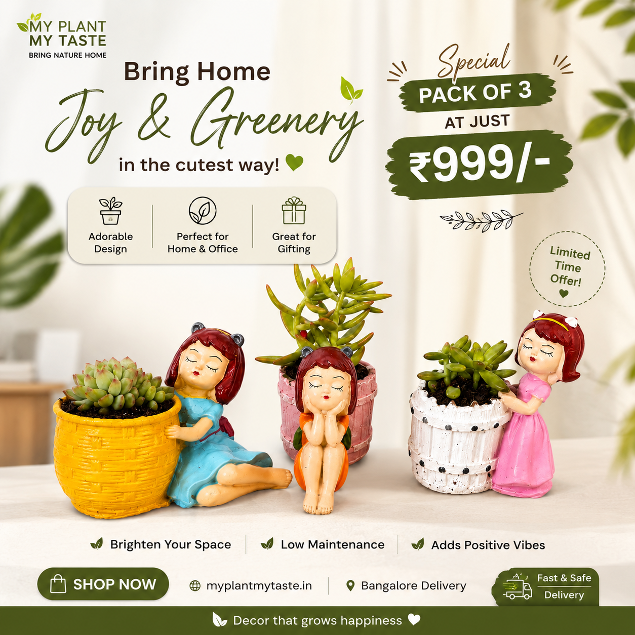 Dreamy Girl Succulent Planter Trio – Assorted Succulent Collection