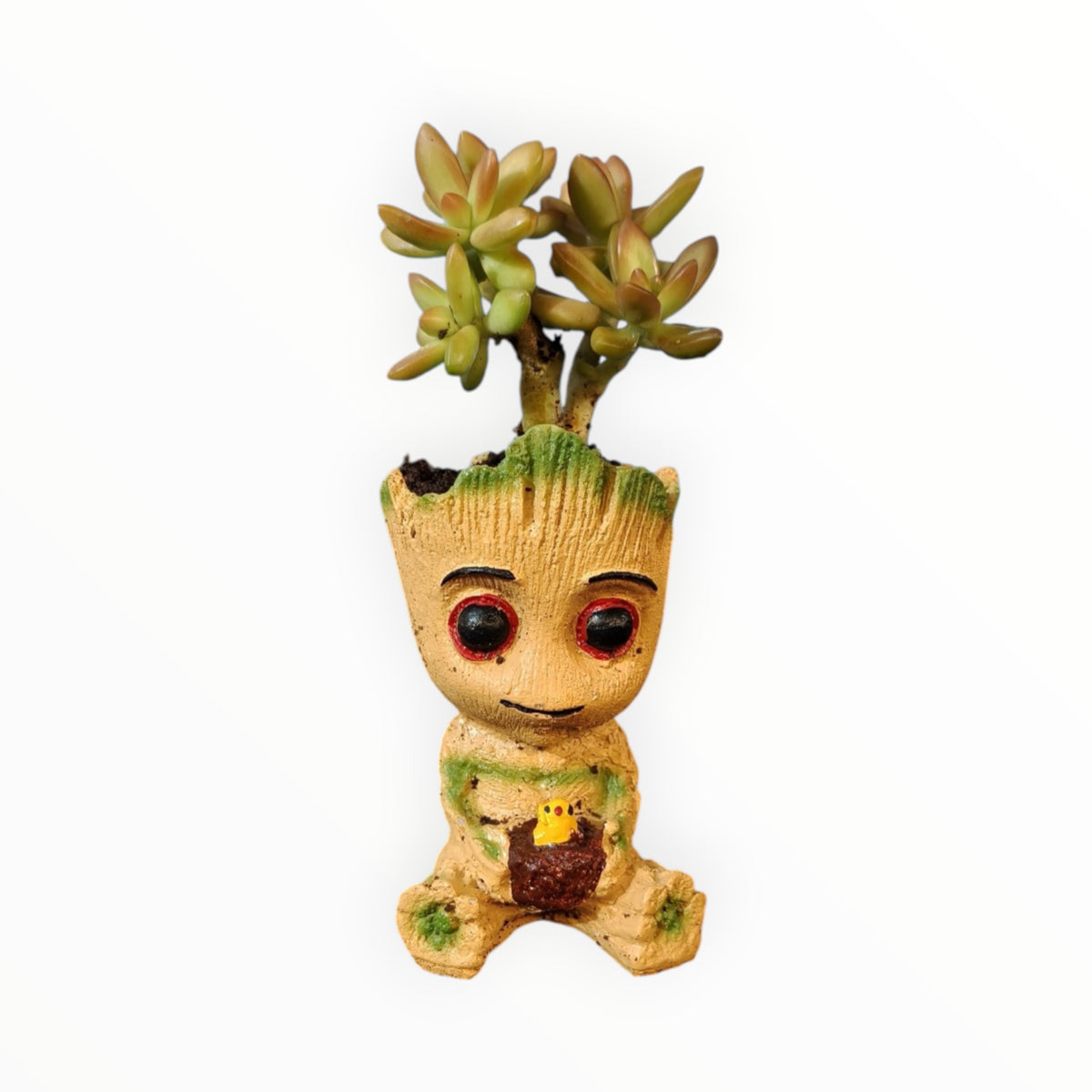 Baby Groot Succulent Planter – Golden Sedum Edition