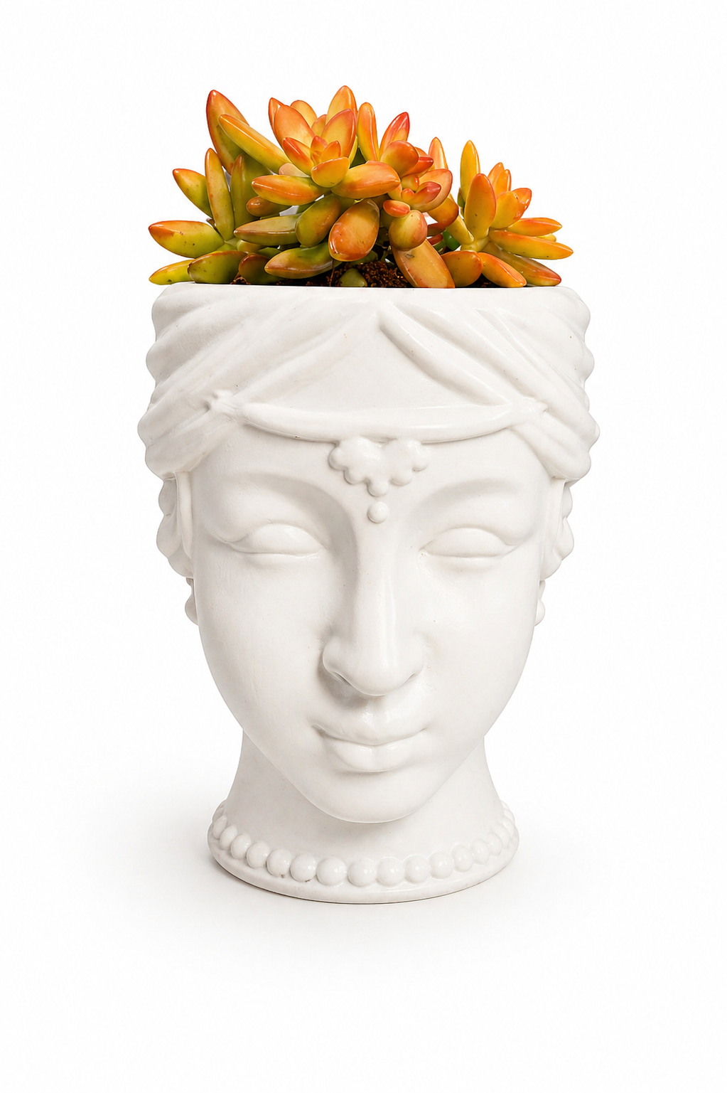 Golden Sedum Succulent in Face Planter
