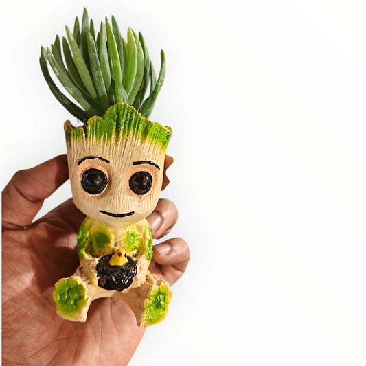 Baby Groot Planter with Succulent