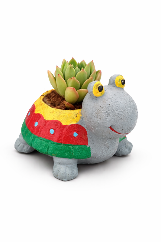 🐢 Turtle Planter with Succulent – Cute Desk Plant
