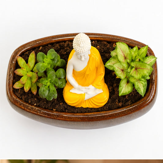 Buddha zen garden top view