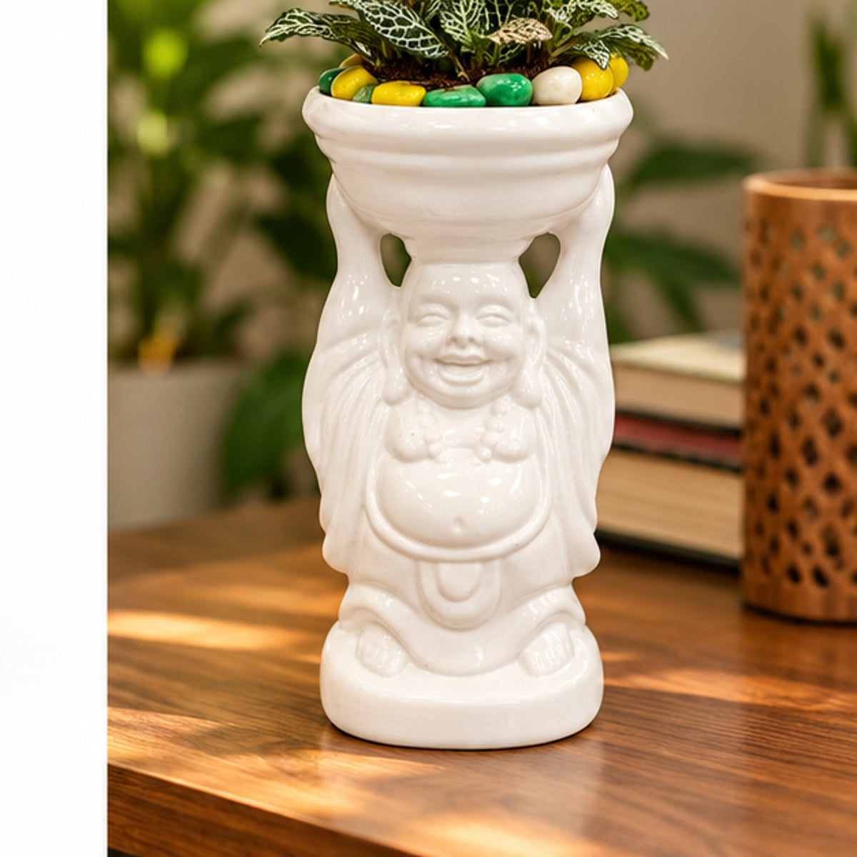 Fittonia Laughing Buddha planter on indoor table