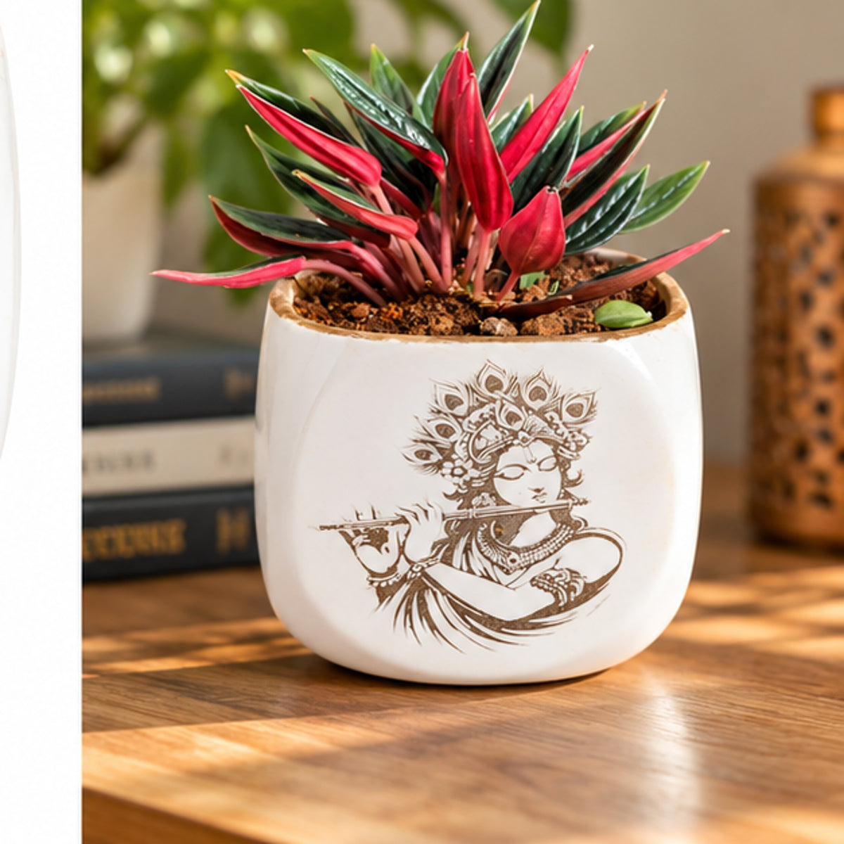 Krishna planter styled on a wooden desk