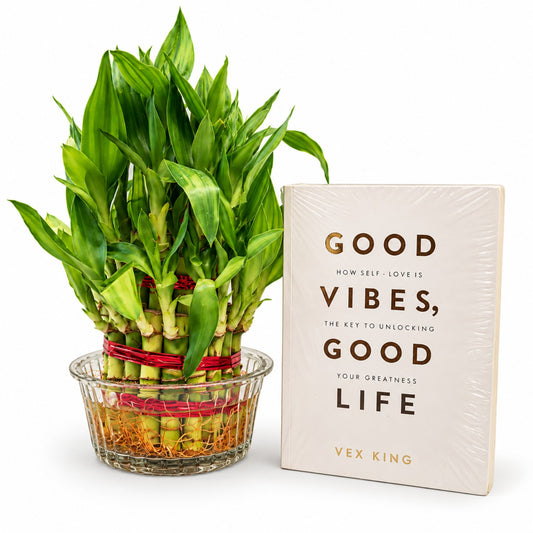 Lucky Bamboo plant arrangement with Good Vibes positivity book in glass bowl