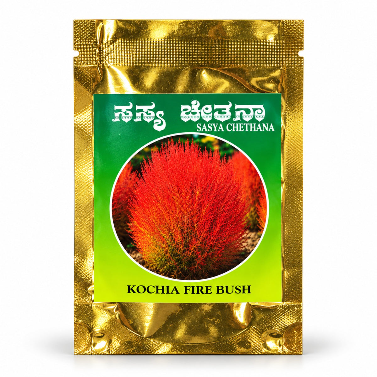 Kochia Fire Bush Seeds – Sasya Chetana
