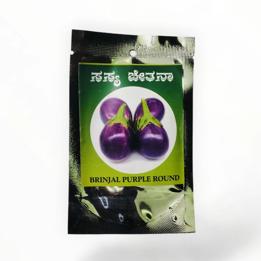 Brinjal Purple Round Sasya Chetana seeds