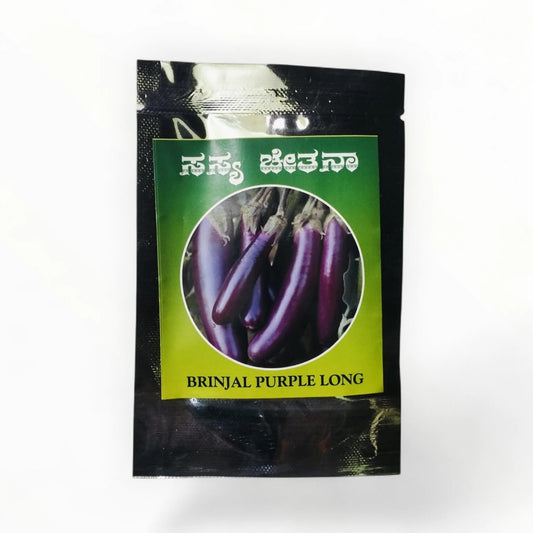 Brinjal Purple Long Sasya Chetana seeds