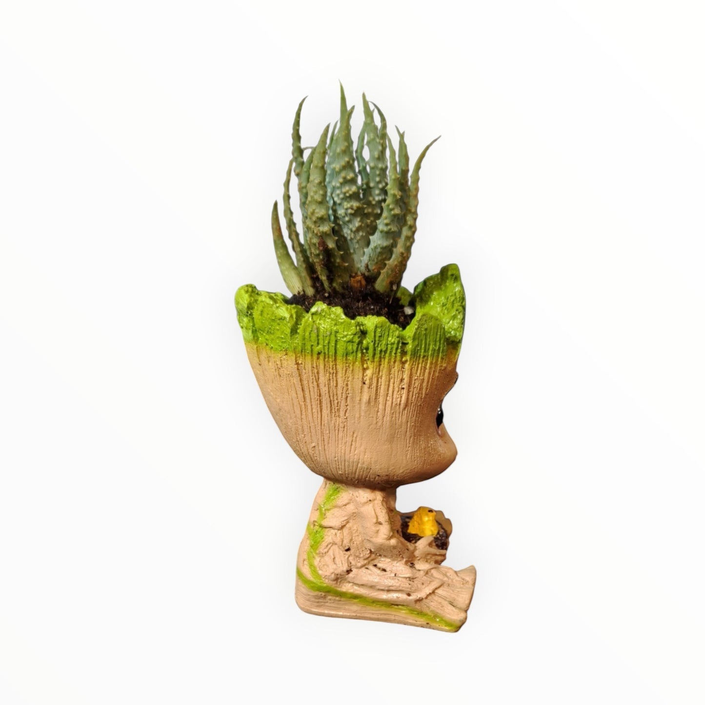 MyPlantMyTaste Baby Groot planter with a green-edged rim holding a spiky Haworthia succulent.