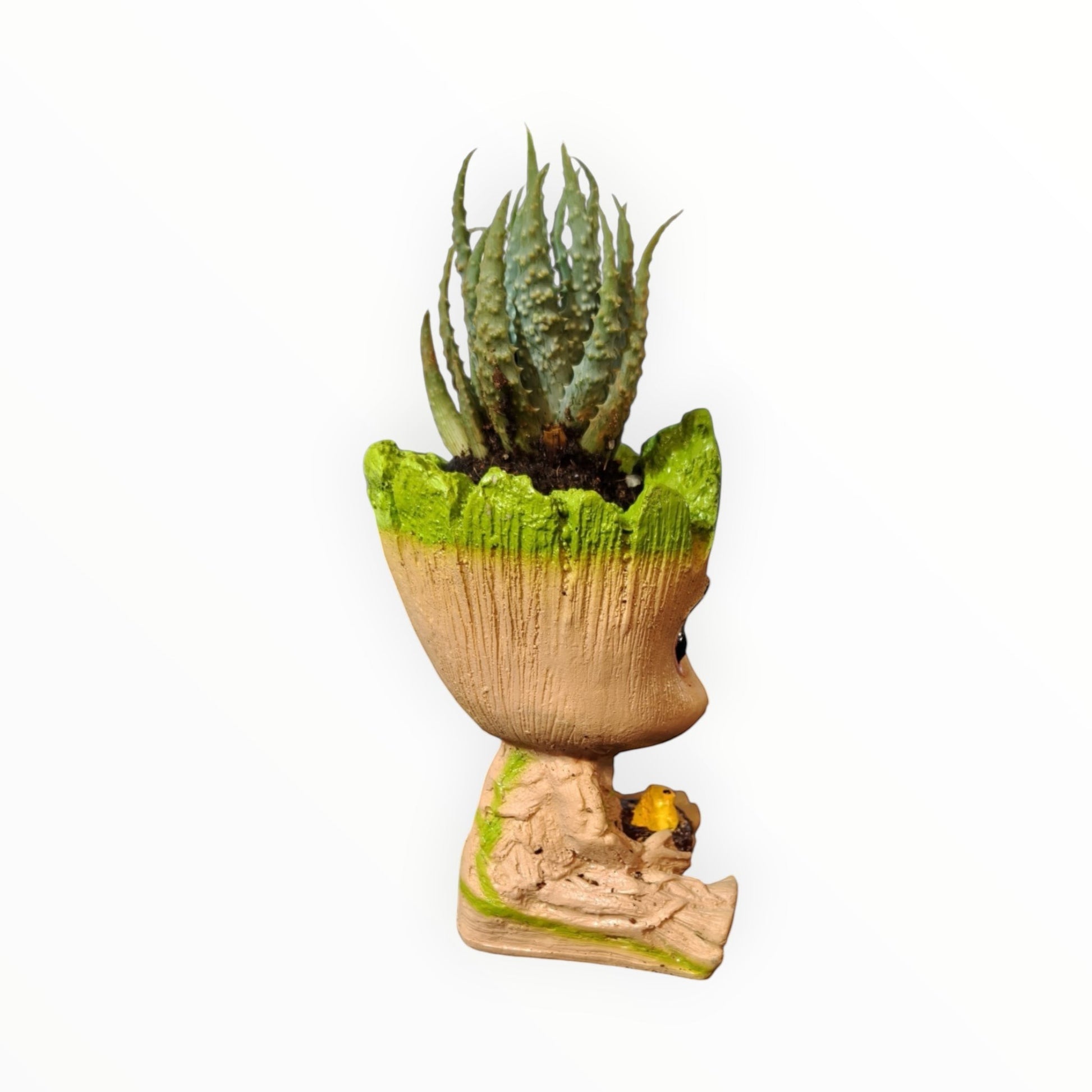 MyPlantMyTaste Baby Groot planter with a green-edged rim holding a spiky Haworthia succulent.