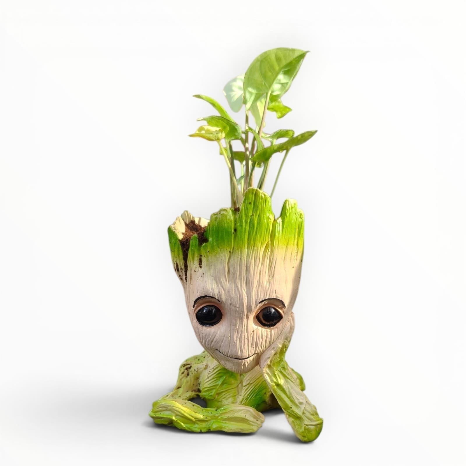 MyPlantMyTaste Syngonium plant in a cute, resin Groot planter with green accents and large black eyes.