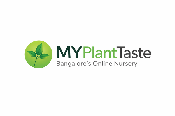 MyPlantMyTaste
