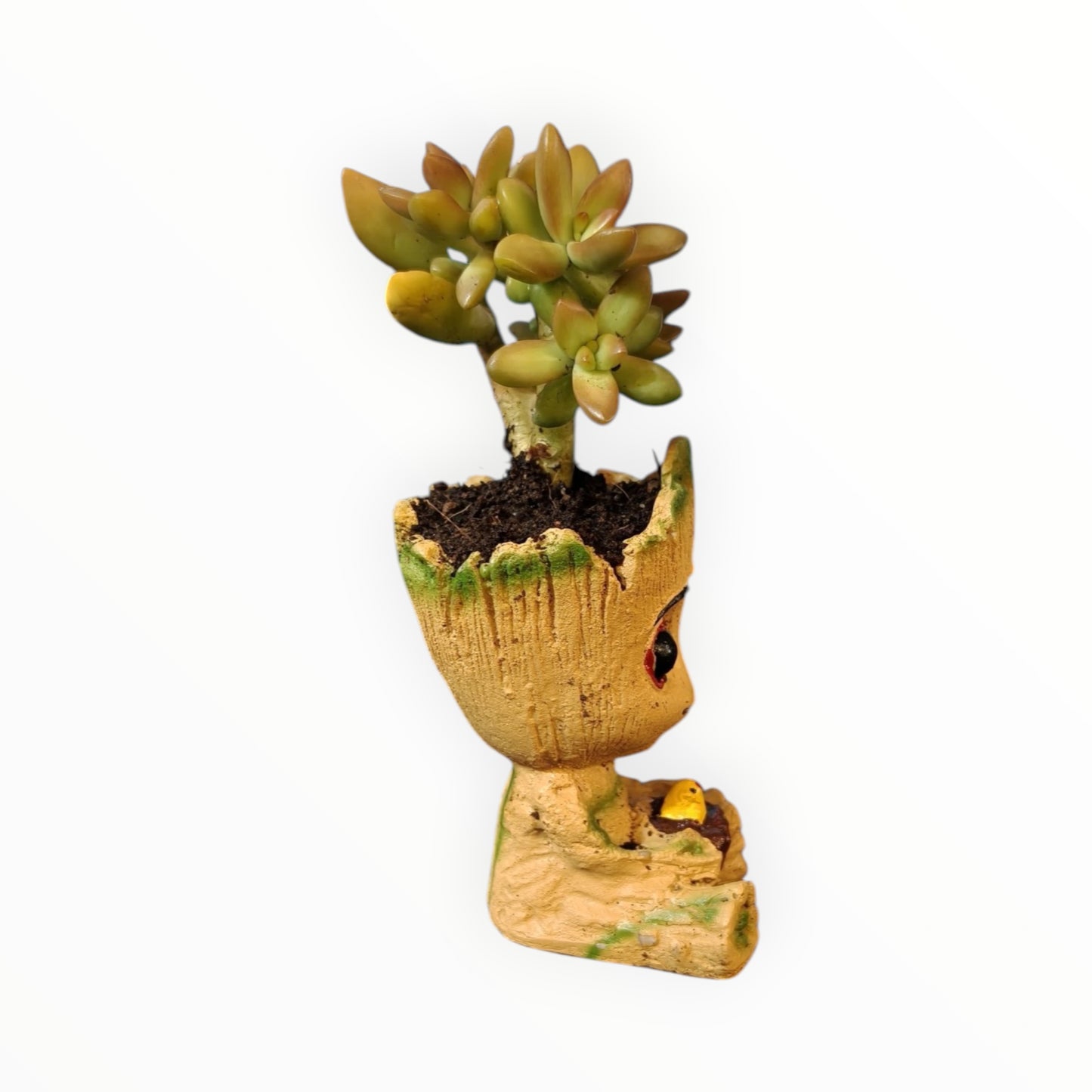 Baby Groot Succulent Planter – Golden Sedum Edition