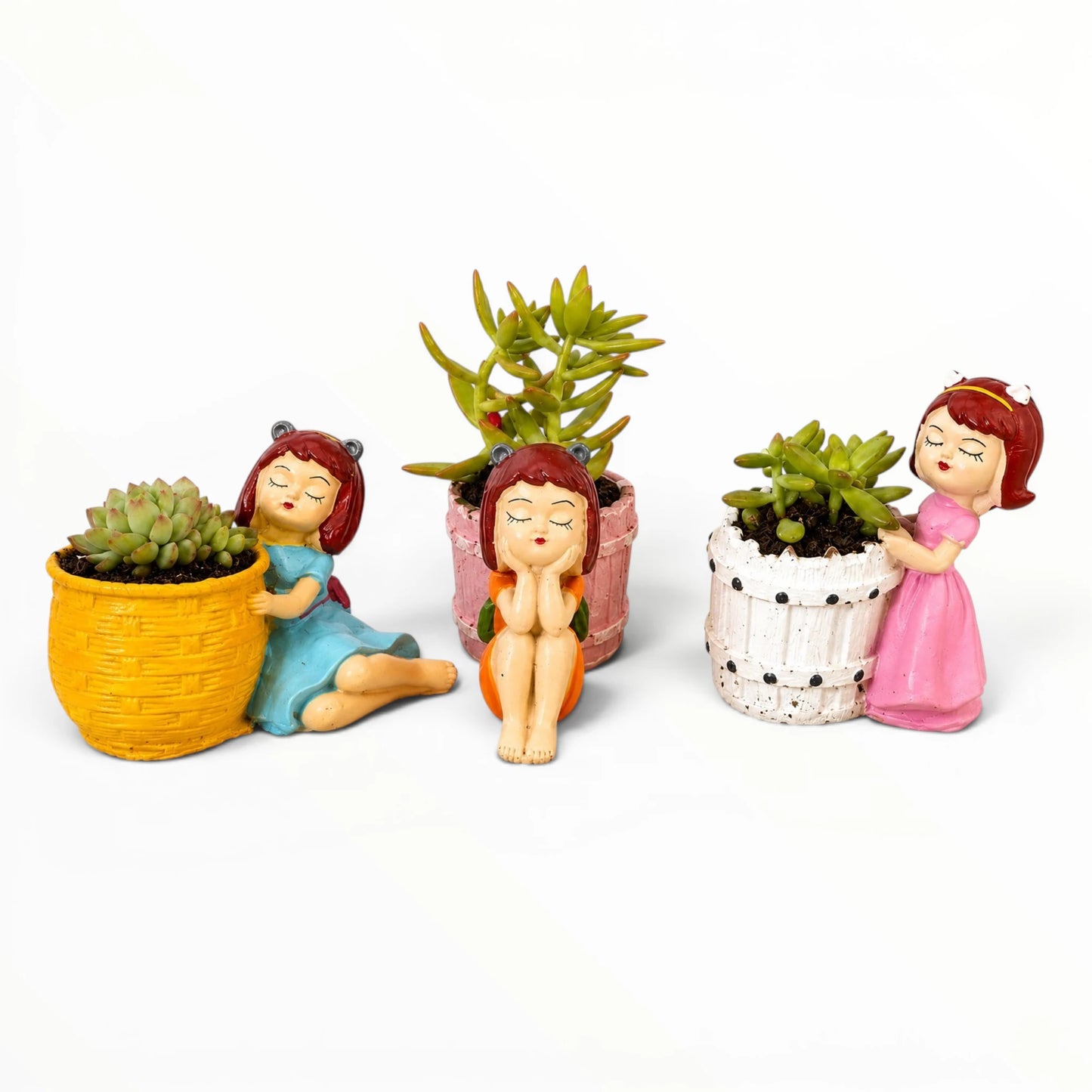Dreamy Girl Succulent Planter Trio – Assorted Succulent Collection