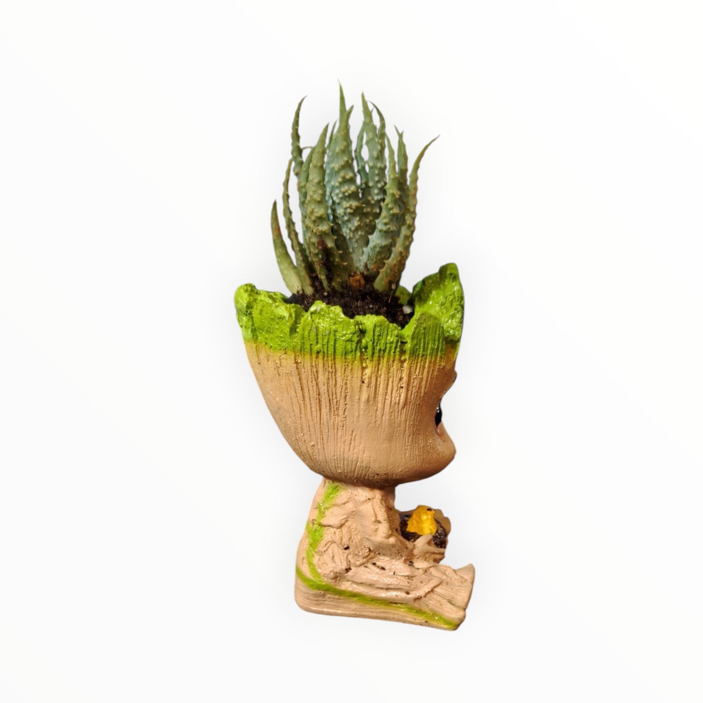 Baby Groot Haworthia Planter – Cute Character Succulent Pot