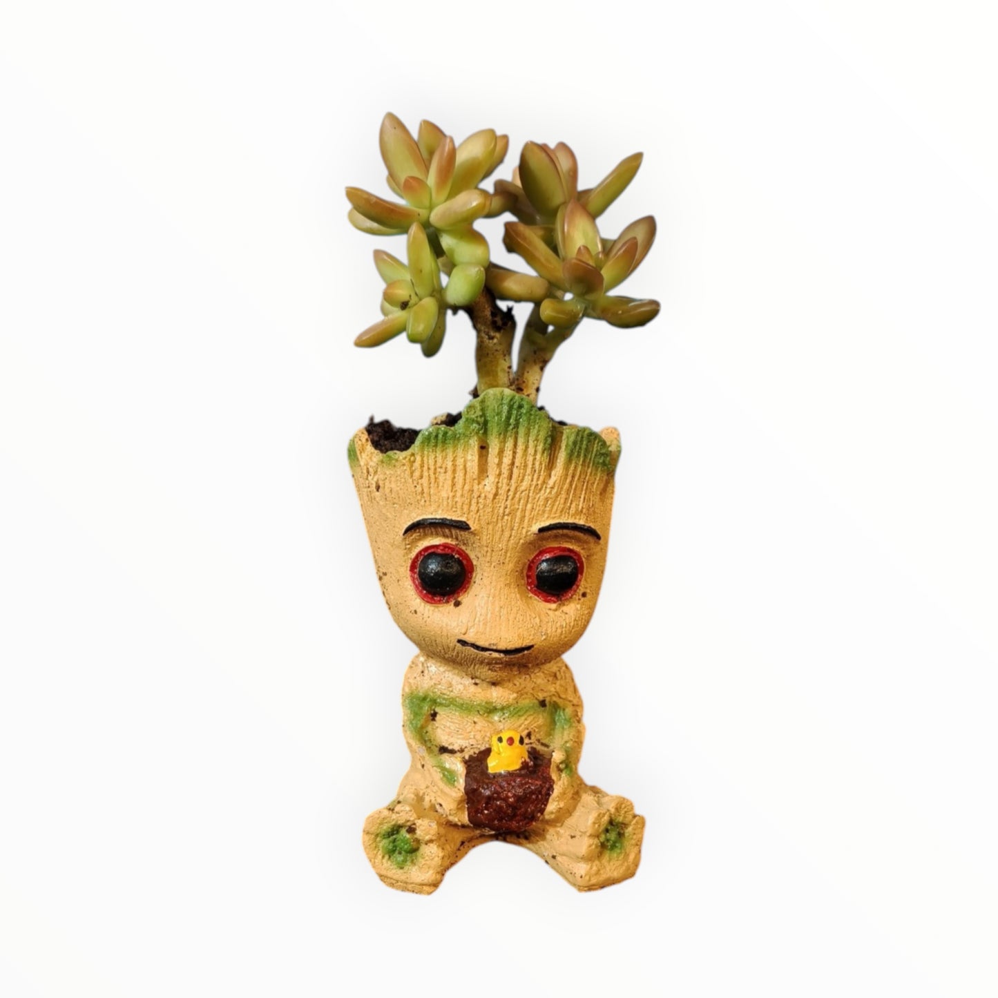 Baby Groot Succulent Planter – Golden Sedum Edition