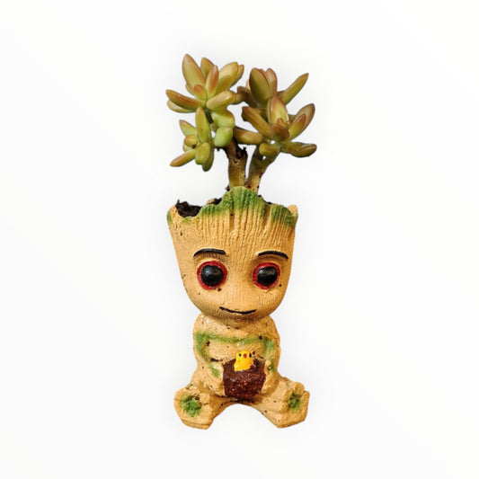 Baby Groot Succulent Planter – Golden Sedum Edition