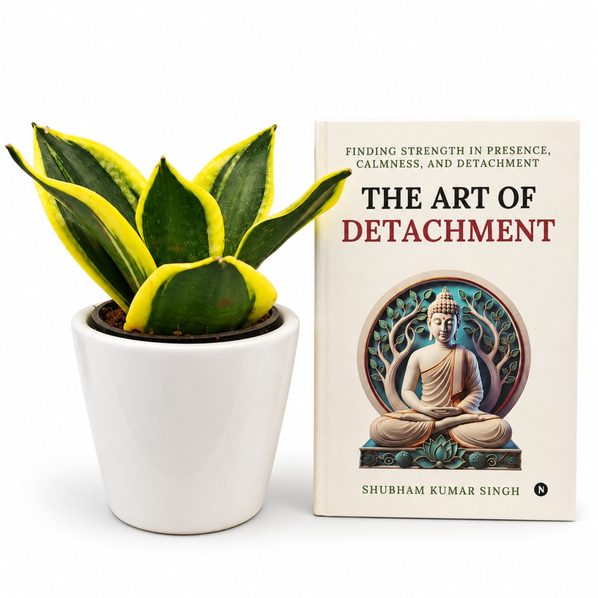 Snake Plant in white ceramic pot with The Art of Detachment book