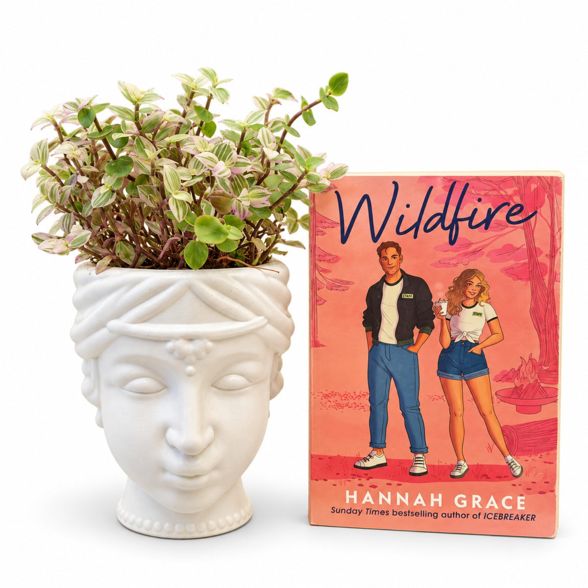 Variegated Elephant Bush succulent in white face planter with Wildfire book