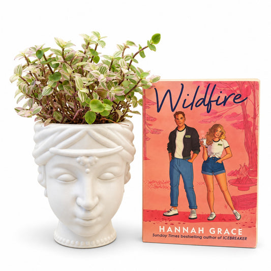 Variegated Elephant Bush succulent in white face planter with Wildfire book